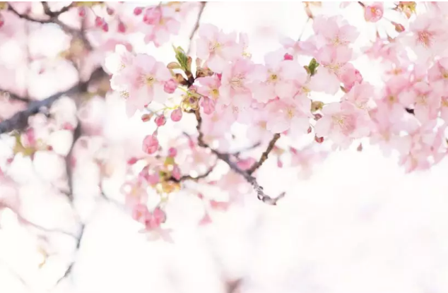 QQ截图20180322110101.png